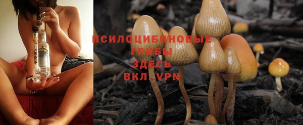 прущий лед Абаза
