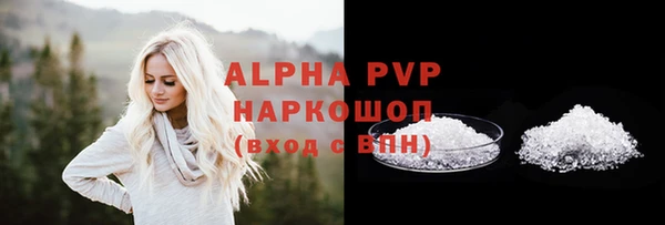 прущий лед Абаза